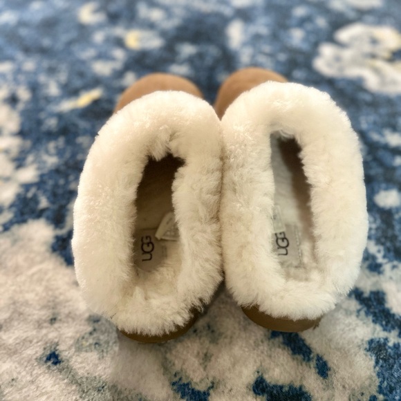 Uggs Disquette Chestnut - Picture 6 of 7